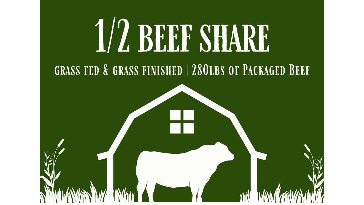 1/2 Beef Share | Grass Finished